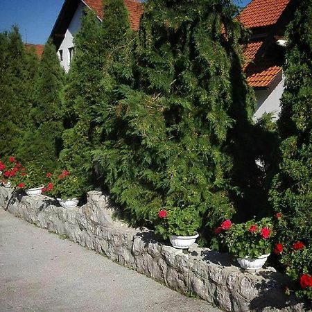 Bozovic Mv Apartments Zlatibor Eksteriør billede