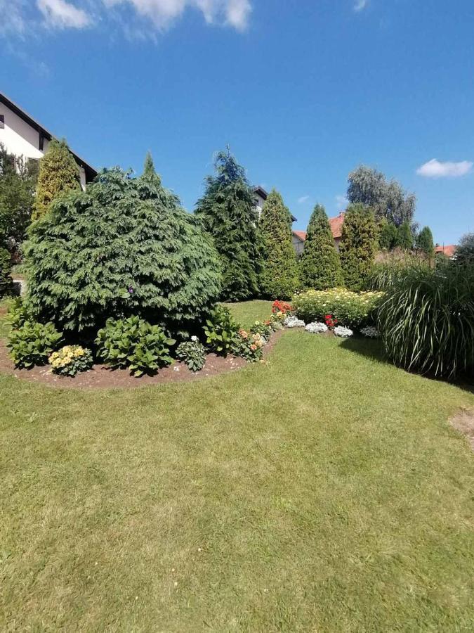 Bozovic Mv Apartments Zlatibor Eksteriør billede