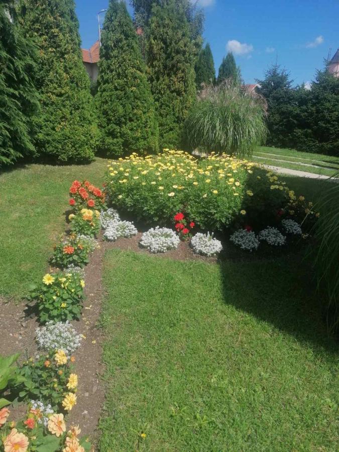 Bozovic Mv Apartments Zlatibor Eksteriør billede