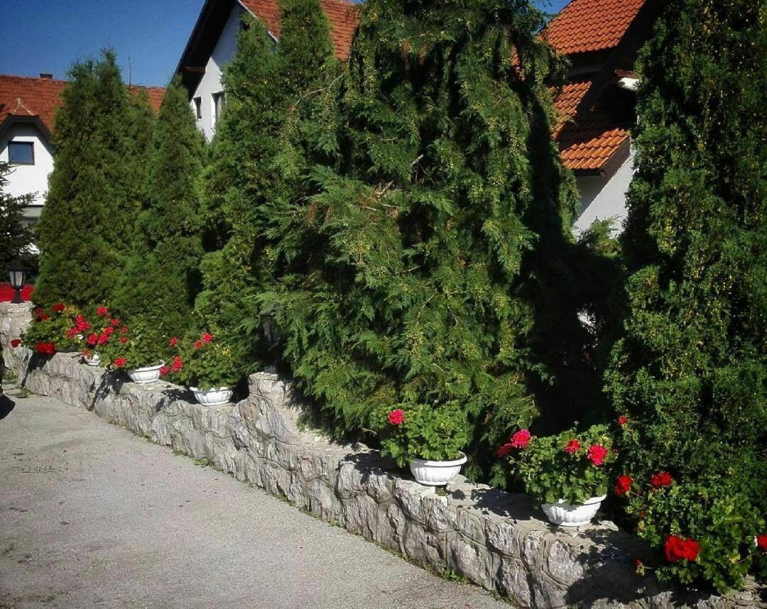 Bozovic Mv Apartments Zlatibor Eksteriør billede